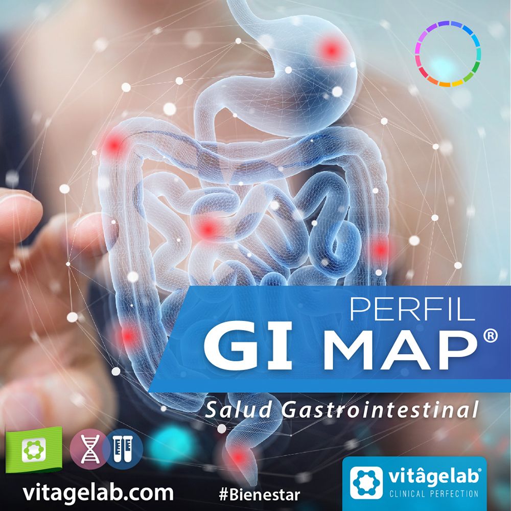 GI-Map